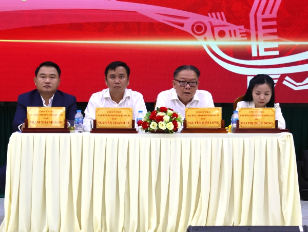 to dai bieu hdnd tinh