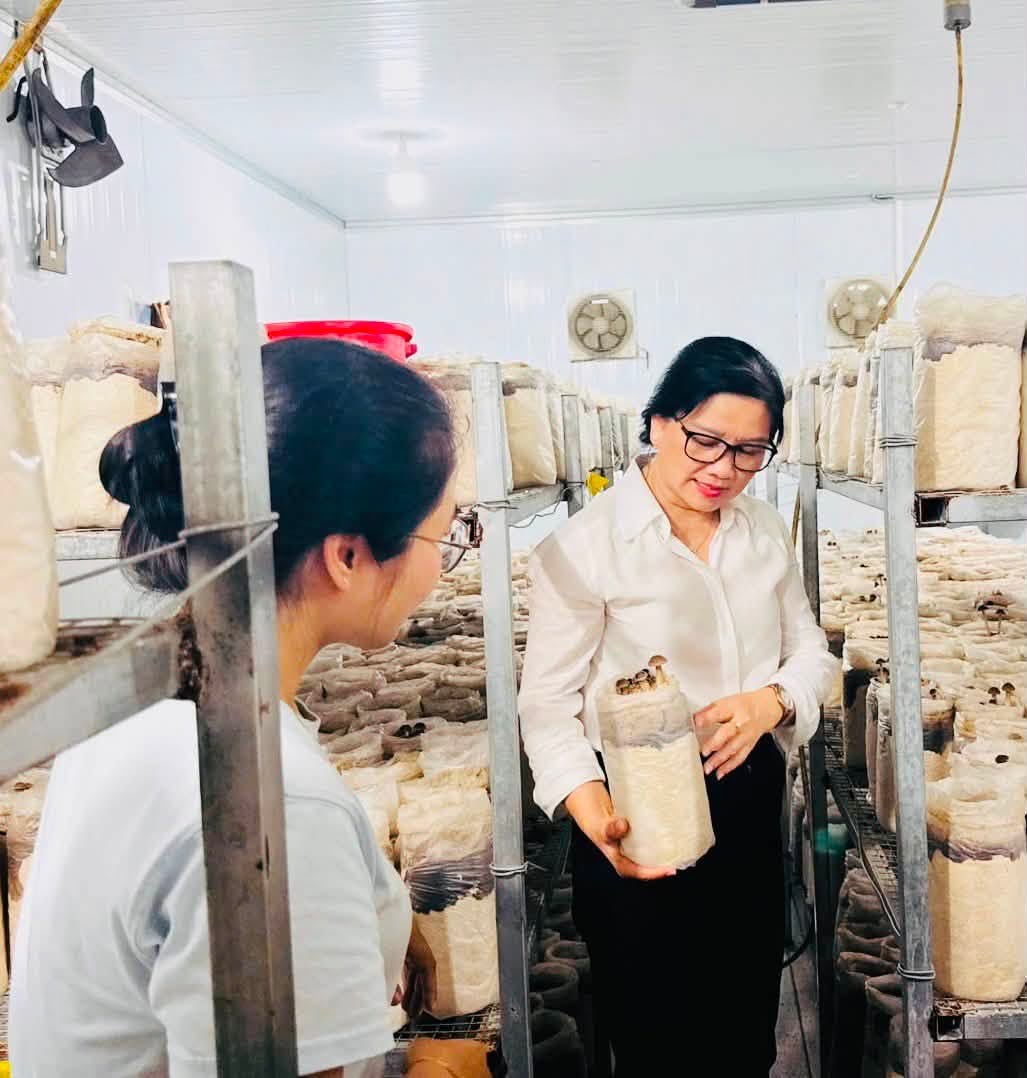 Đồng chí Lê Đỗ Kim Chi – Bí thư Đảng ủy, Chủ tịch HĐND xã Tân An trao đổi, nắm bắt tâm tư, nguyện vọng và tình hình sản xuất của người dân.